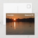 Search for loons postcards Lake