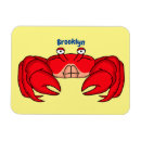 Search for crustaceans magnets Ocean