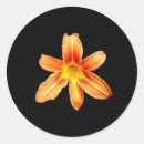 Search for orange tiger stickers Flower