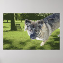 Search for mutt posters Dog