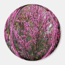 Search for budding magnets Floral