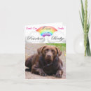 Search for dog pet sympathy cards Bridge