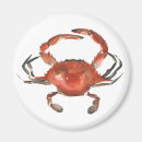 Search for crabs magnets Sealife