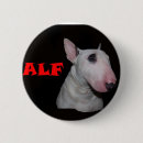 Search for alf Dogs