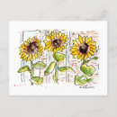 Search for 3 sunflowers postcards Watercolor
