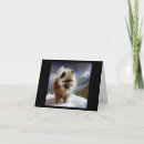 Search for keeshond cards Animal