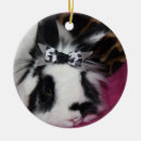 Search for black rabbit christmas tree decorations Animal