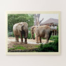 Search for african animals puzzles Children