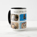 Search for birds of prey mugs Hawk