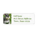 Search for schnauzer return address labels Dog