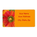 Search for red gerbera labels Orange