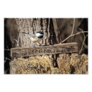 Search for capped chickadee art Wildlife