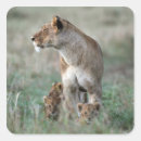 Search for masai stickers Full length