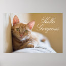 Search for pet photography posters Indoors