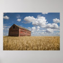 Search for summer scene posters Agriculture