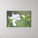 Search for olive green canvas prints Modern