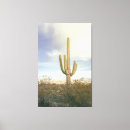Search for desert cactus canvas prints Arizona