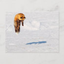 Search for yukon canada postcards Winter
