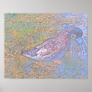 Search for mallard ducks posters Feathers