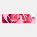 Search for roses bumper stickers Pink rose