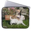 Search for dogs laptop cases White
