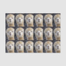 Search for alpaca tissue paper Peru