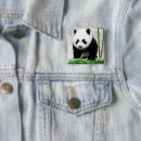 Search for wildlife panda badges Bear