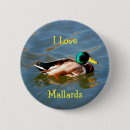 Search for mallard badges Pond