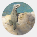 Search for wildlife photography stickers Nature