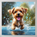 Search for pet grooming art Puppy