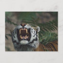 Search for anger postcards Outdoors