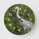 Search for sandhill Sandhill cranes
