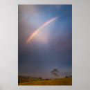 Search for rainbow tree art Photography