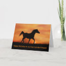 Search for spirit horses cards Arabian