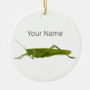 Search for insect christmas tree decorations Animal