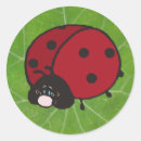 Search for sweet ladybug stickers Cute
