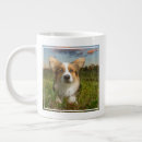 Search for queens corgi mugs Canine