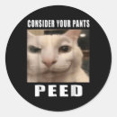 Search for silly cat stickers Meme
