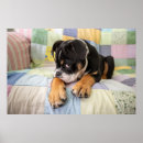 Search for shy posters Cute