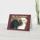 Search for funny group cards Friend