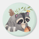 Search for racoon magnets Nature