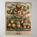 Search for fruit season chart 1732