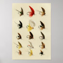 Search for trout posters Fisherman