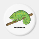 Search for chameleon magnets Cute