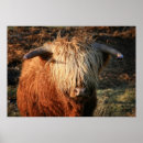 Search for scottish posters Highland