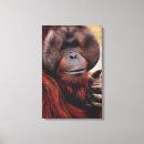 Search for orangutan canvas prints Animal