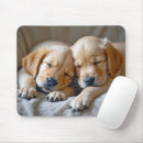 Search for sleeping puppy electronics Canine