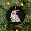 Search for ragdoll cat christmas tree decorations Funny
