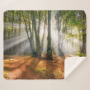 Search for for misti blankets Forest