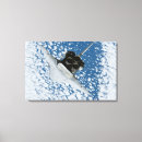 Search for space shuttle discovery canvas prints Horizontal